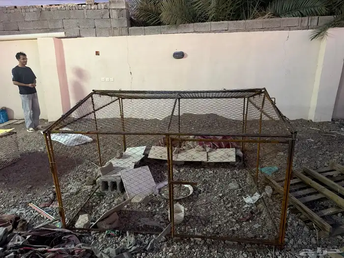 شبك دجاج للبيع. تم البيع 1