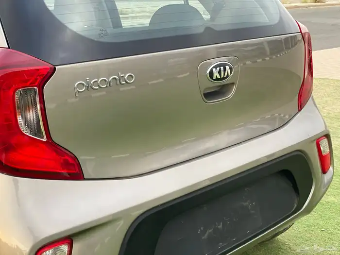 كيا بيكانتو 2020 ممشي 79 8