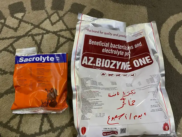 صوص دجاج عمره 20 يوم العدد 113 جوز العدد الكلي226حبه 8