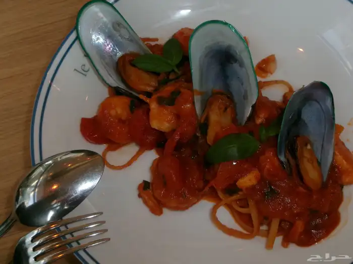 كاميرا كوداك 6