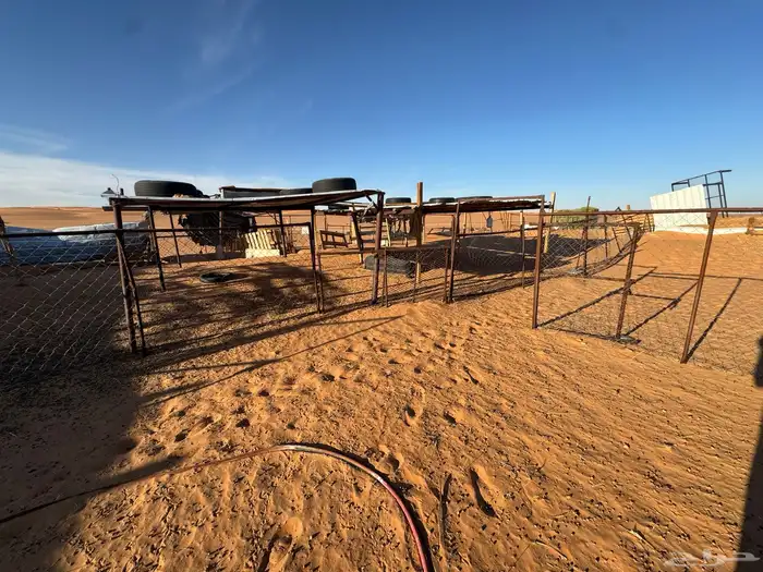 شبوك غنم ومضلات ومعلف وحنفيه 1000 7