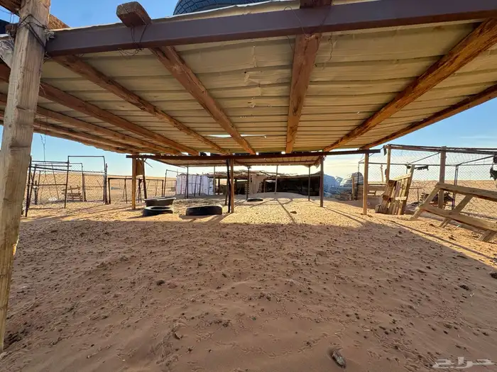 شبوك غنم ومضلات ومعلف وحنفيه 1000 12