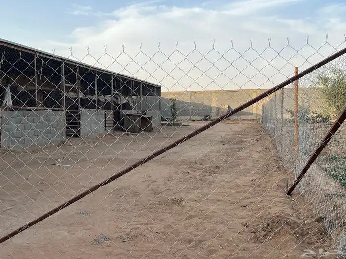 حوش للايجار في ضرما 0