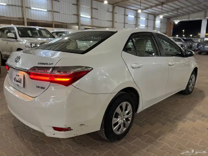 كورولا 2019 10