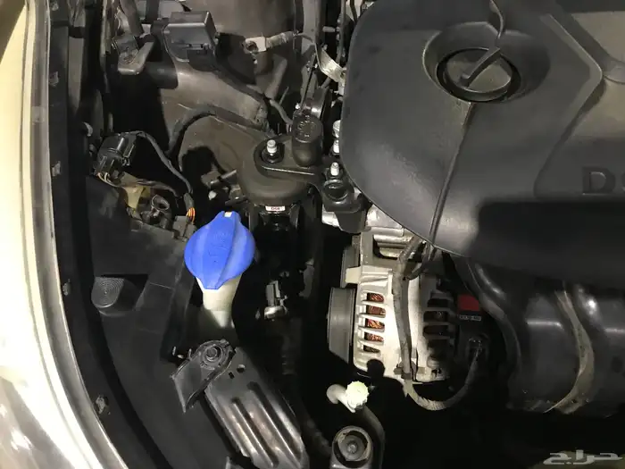 النترا 2015 21