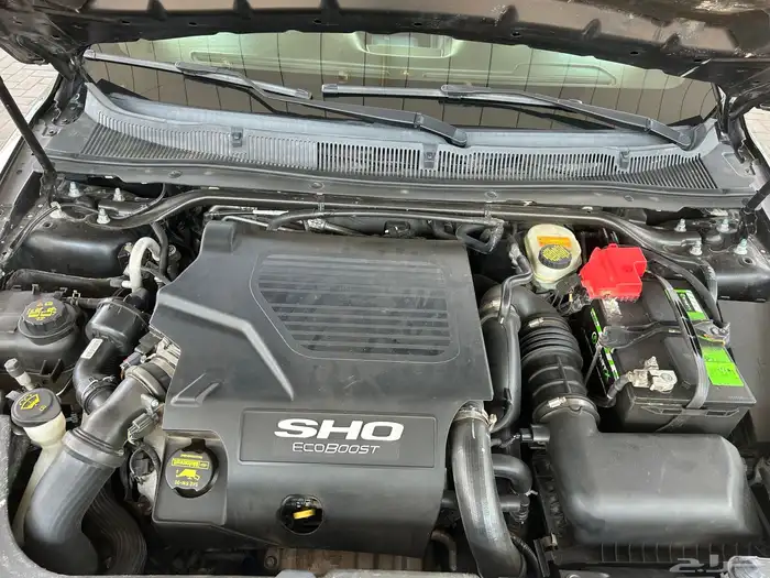 تورس SHO شد بلد 2013 11