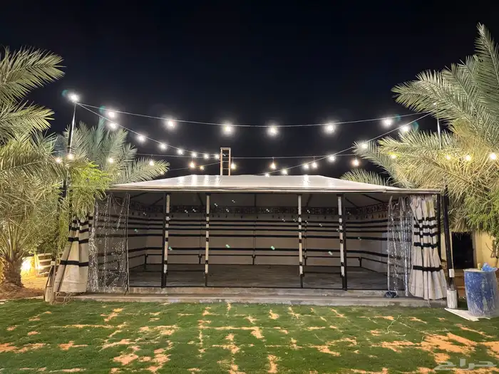 بيت شعر المطور بيت شعر ملكي 6