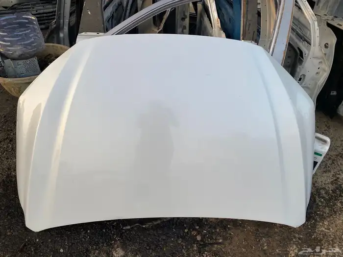 كبوت يارس 2024 0