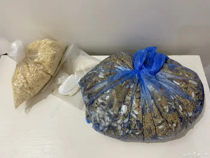 طيور روز جوز متالفين 3