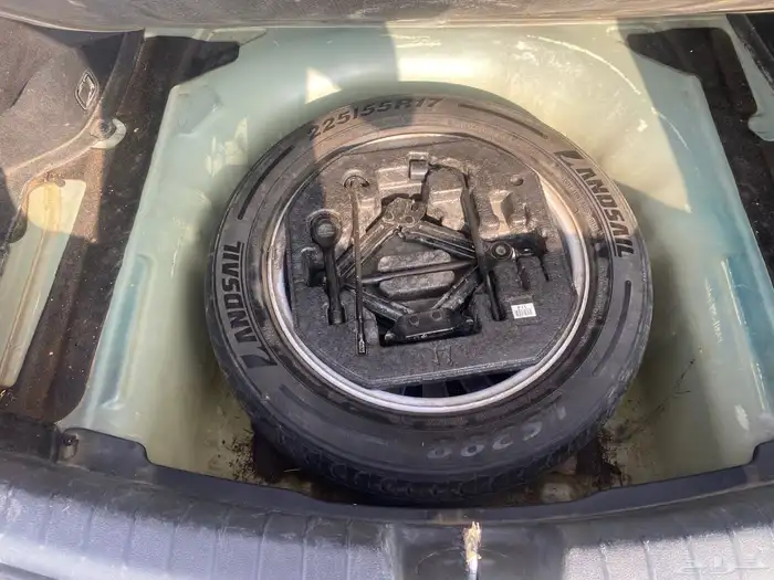 كادنزا 2018وكالة 7