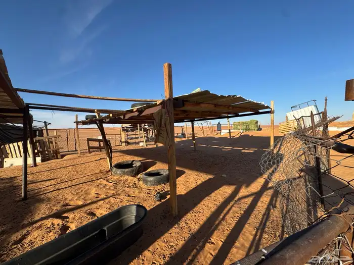 شبوك غنم ومضلات ومعلف وحنفيه 1000 11