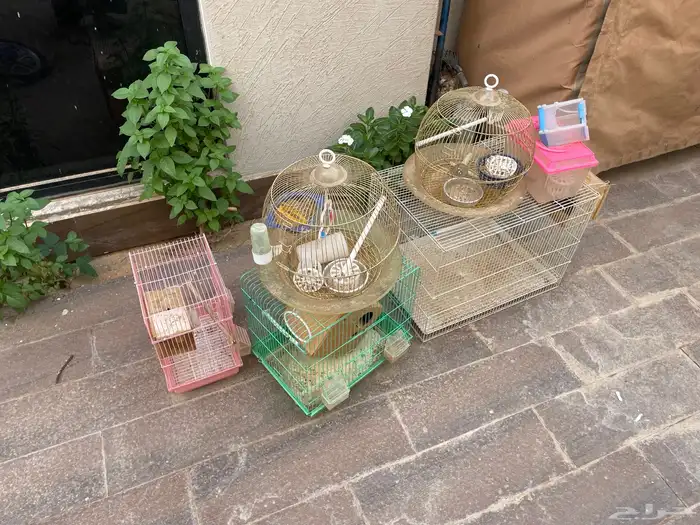 بيع جمله مراتب باترول 2008 وسكوترات خربانه ثلاجه يبيله فريو 6