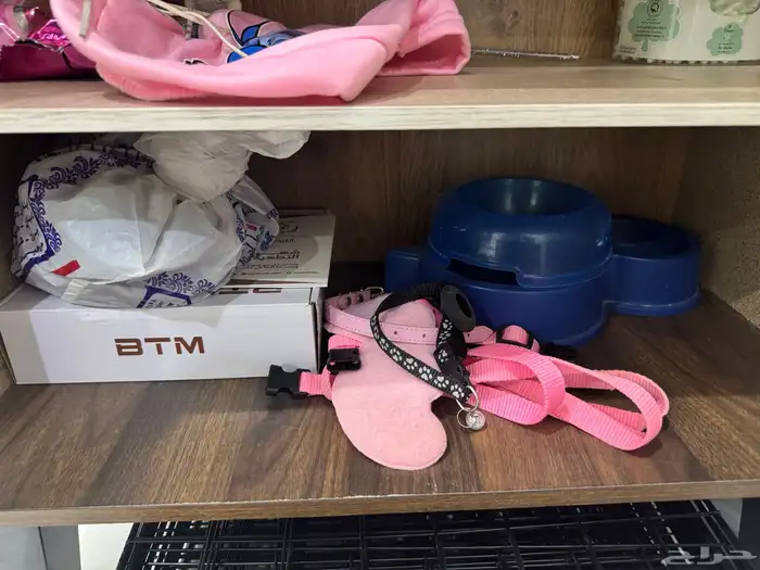 جميع مستلزمات قطط ب اقل الأسعار 7