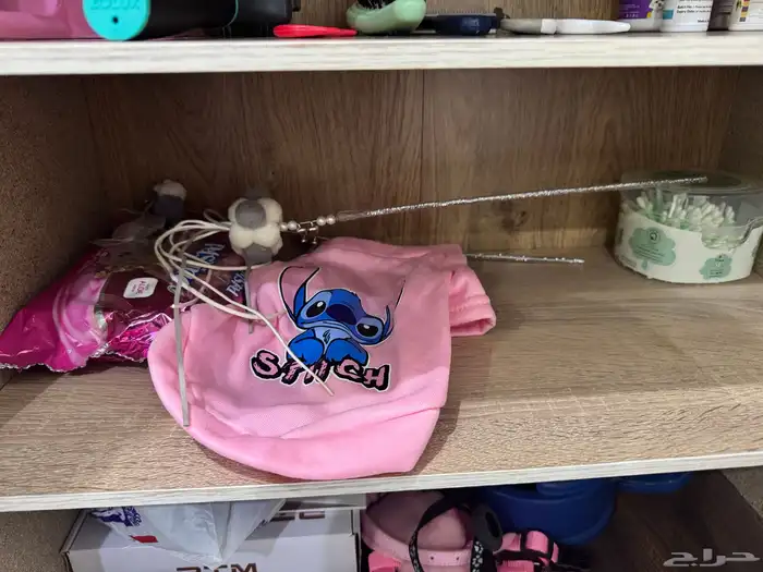 جميع مستلزمات قطط ب اقل الأسعار 6