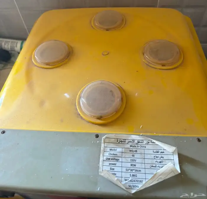 فقاصه للبيع 1