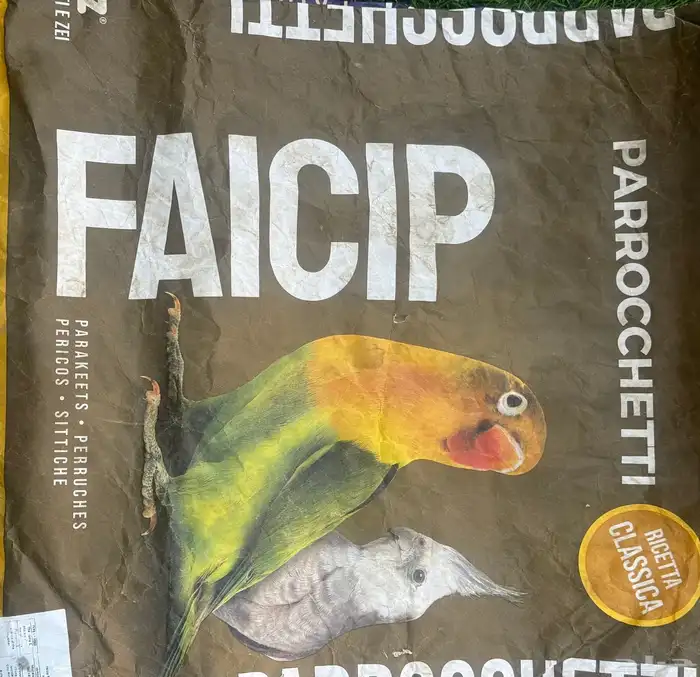 أكل لطيور البادجي 3