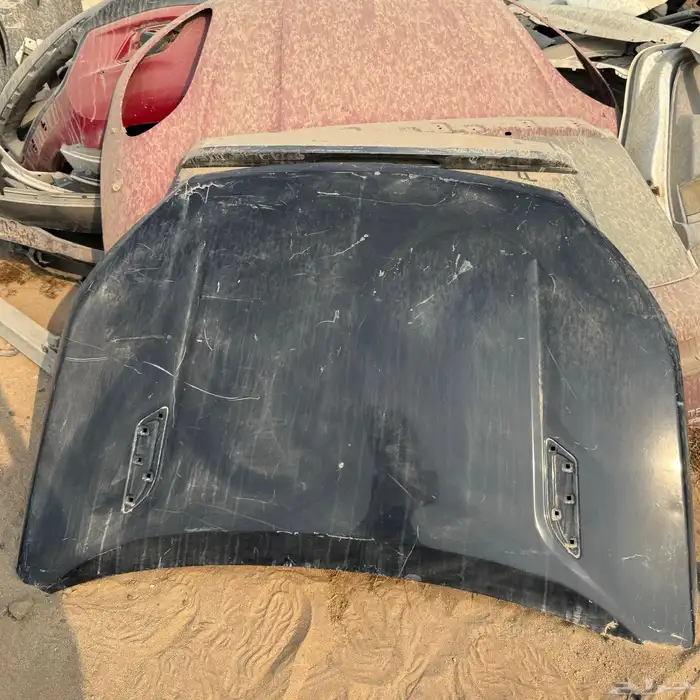 كبوت شانجان CS95 0