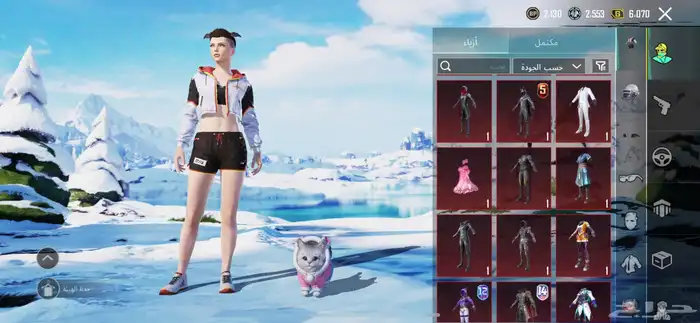 حساب ببجي عالميه 1