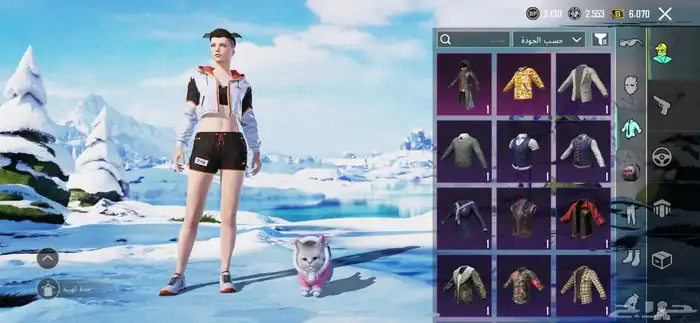 حساب ببجي عالميه 5