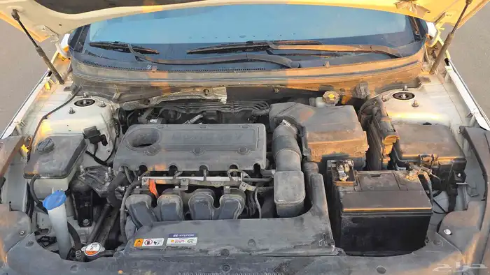 سونانا 2017 بي 26k 6