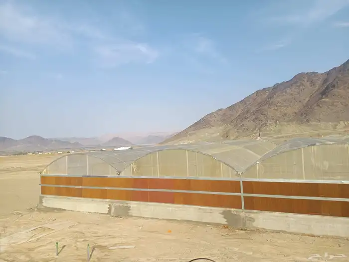 انشاء جميع انواع البيوت المحميه والصالات الزراعيه 6