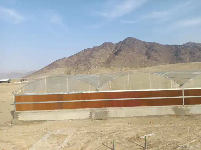 انشاء جميع انواع البيوت المحميه والصالات الزراعيه 5