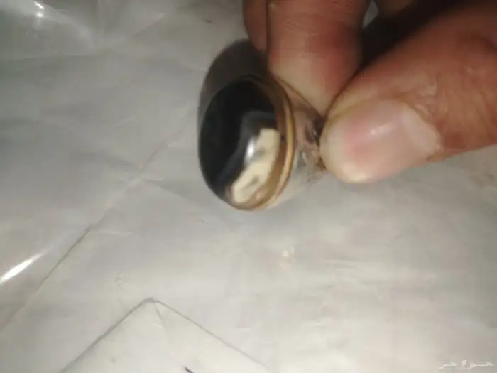 خاتمين فضه للبيع عالسوم 1