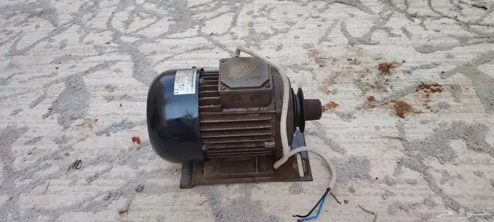 دنموهات للبيع 7