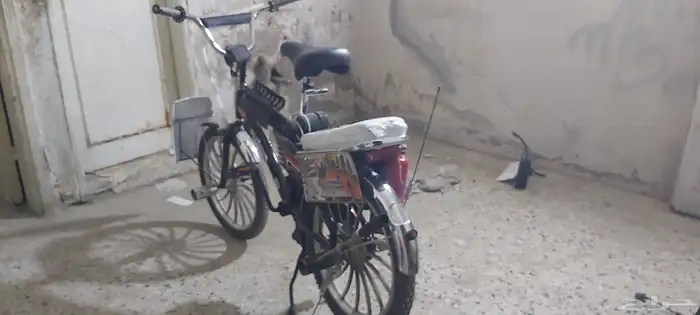 رامبو اسود للبيع 1