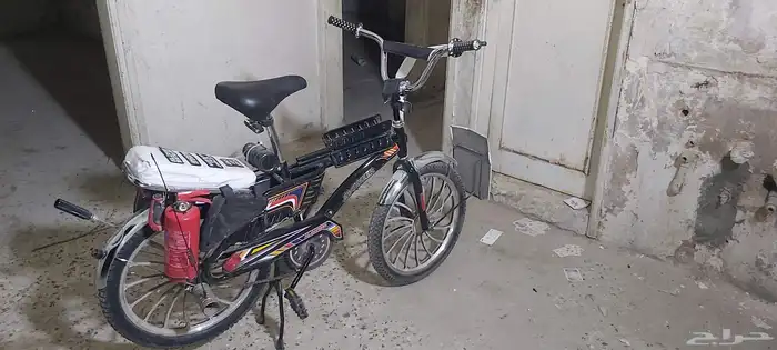 رامبو اسود للبيع 0