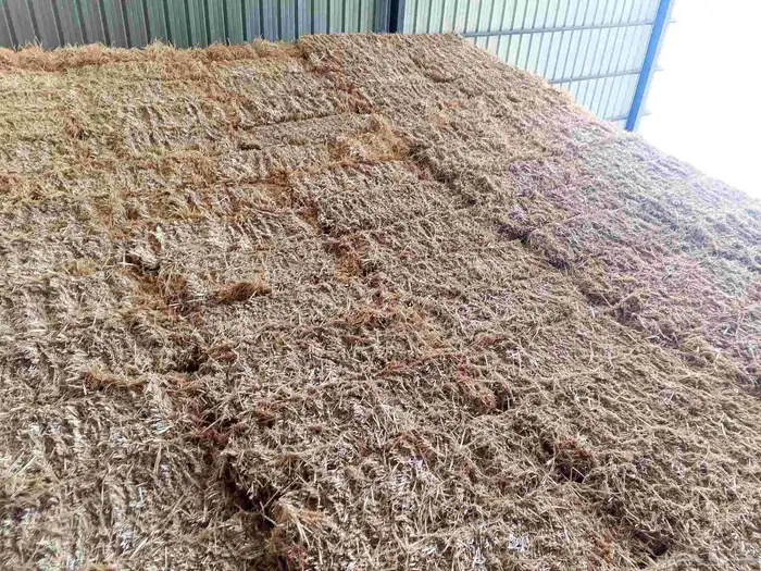 الرياض العزيزيه سوق العلف 0