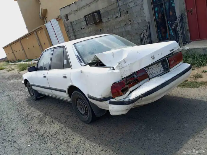 كرسيدا مصدومه على السوم 0