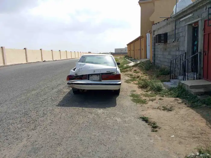 كرسيدا مصدومه على السوم 3