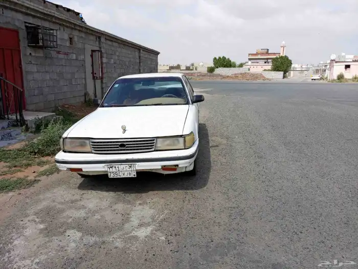 كرسيدا مصدومه على السوم 1