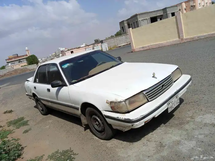 كرسيدا مصدومه على السوم 2