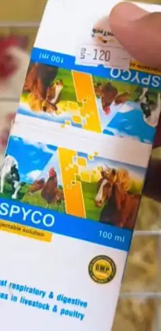 صوص دجاج عمره 20 يوم العدد 113 جوز العدد الكلي226حبه 9