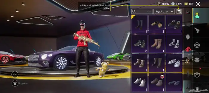 حساب ببجي اسطوري 10