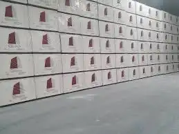 الدمام الخضرية 1