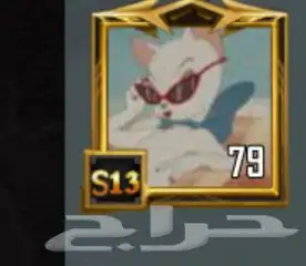 ببجي للبيع 4