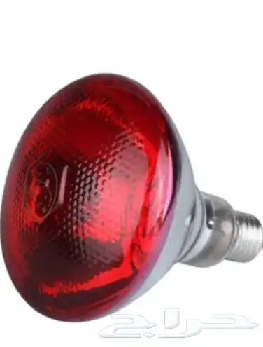 لمبة حراريه لتدفئة الصوص 0