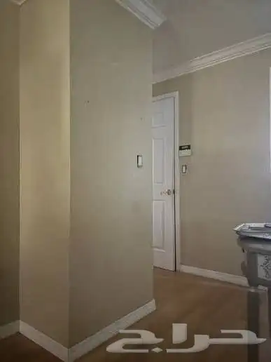 ان دھان بوي  معلم با ستاني pinting worker Pakistani 8