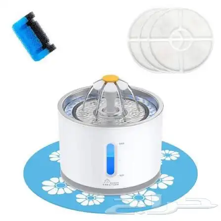 قطتين شيرازي للتبني 10