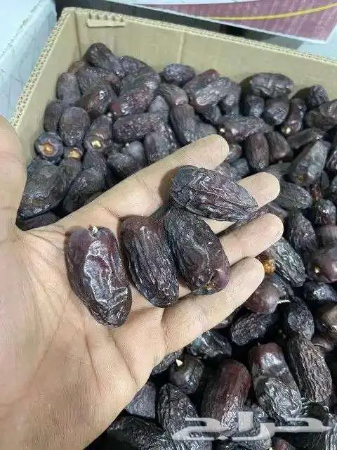 تمور بالجملة سكري مفتل ناشف وضميد وصفاوي 7
