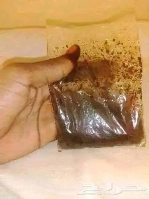 صعود سوداني مرسي الفاشر درجة أولى بالرطل فقط ناشف يوجد توصيل 0