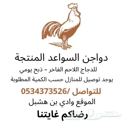 دجاج لاحم أوزان 1000وفوق مع الذبح والتغليف والتوصيل للمنازل 0