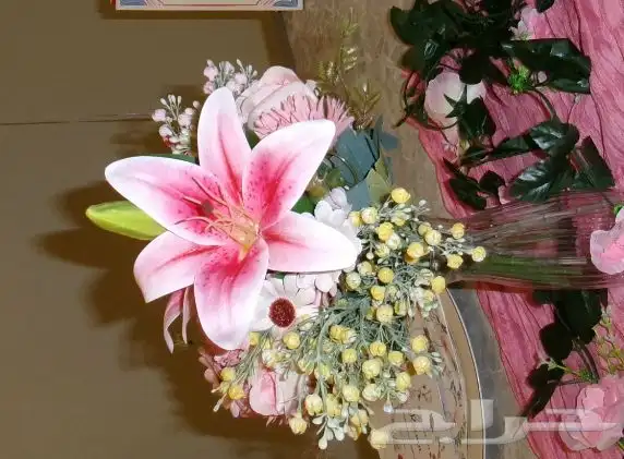 كاميرا كودك 2