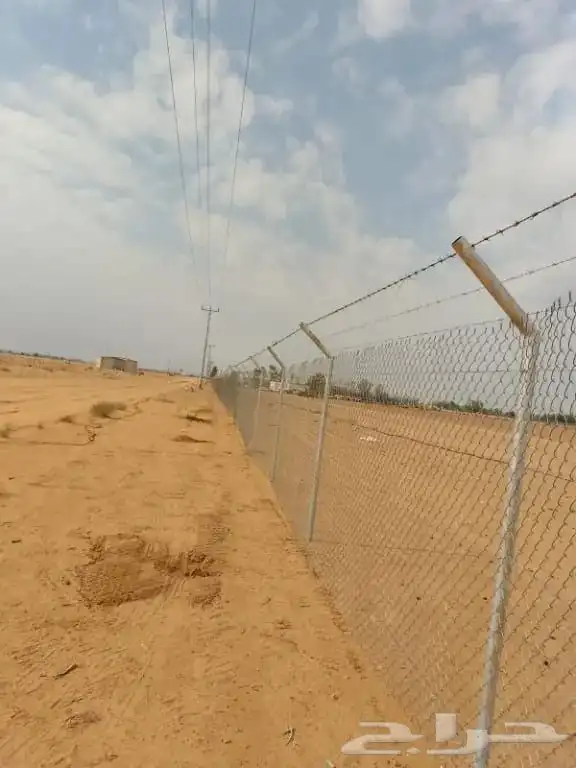 مقاول شبوك 8