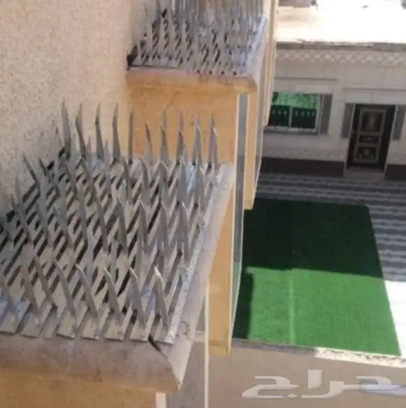 شركة تركيب طارد اشواك الحمام بمكة شركة مكافحة حشرات بمكة 3