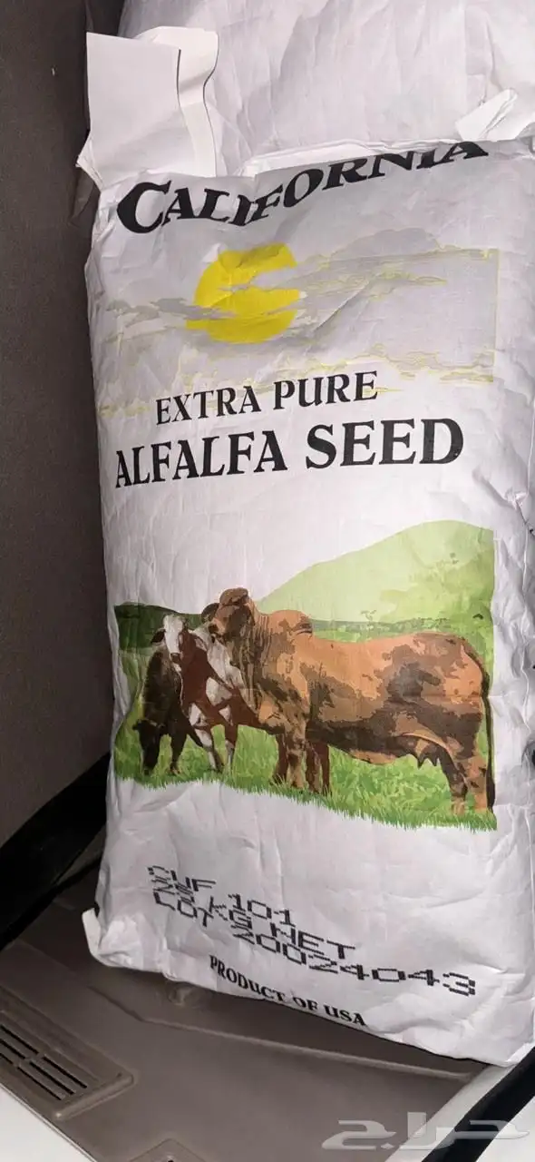 بذور برسيم امريكي نص كيس 1