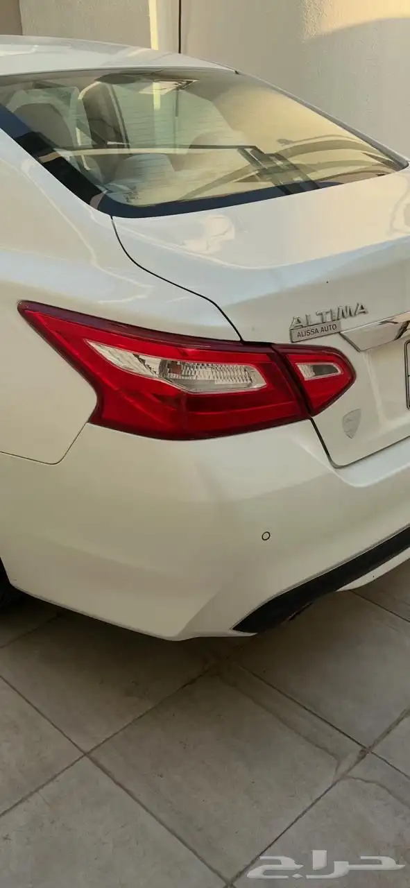 اصطب التيما قطع التيما 2017 2